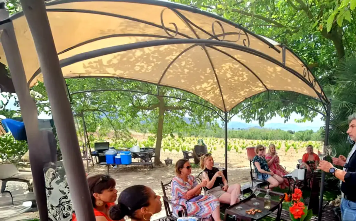 Cata exterior en la bodega de Montsant — viñedos ecológicos de Marçà